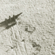 Uno de los aviones tras el aterrizaje. DixieWing